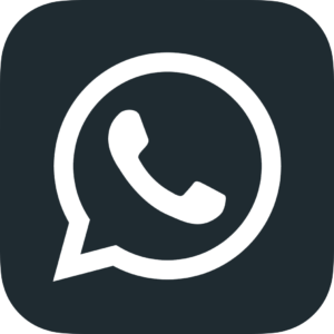 WhatsApp Icon